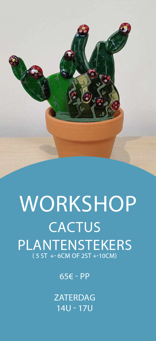 workshop cactussen