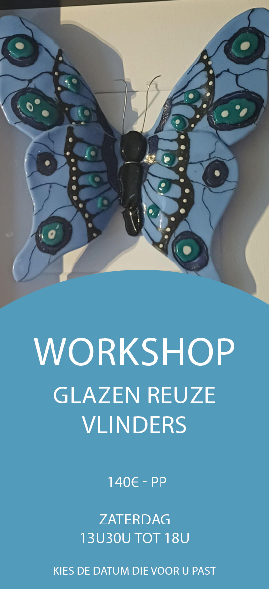 workshop reuzenvlinders